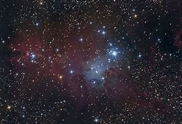 Image result for Cone Nebula