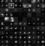 Image result for Globular Cluster M13 in Hercules
