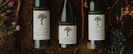 Image result for Howard Park Cabernet Sauvignon Scotsdale