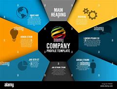 Image result for Company Profile Infographic