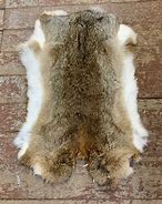 Image result for Using Rabbit Fur