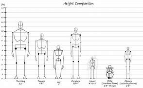 Image result for 5'1 Compared to 5'11