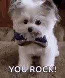 Image result for Thank You You Rock Giphy
