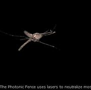Image result for Van Ripper Mosquito