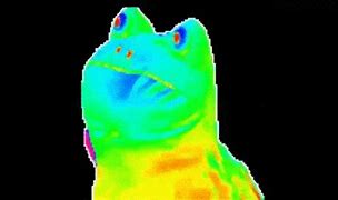 Image result for Spinning Frog Meme GIF
