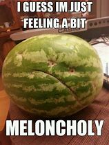 Image result for Watermelon Zebra Meme