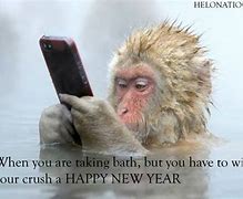 Image result for Happy New Year Fuuny