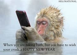Image result for Funny Memes About New Year