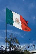 Image result for Drapeau Mexico