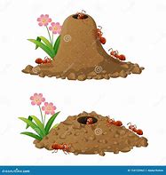 Image result for Ant Eggs Cartoon