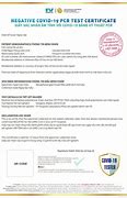 Image result for Covid 19 Medication Template