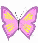 Image result for Purple Butterfly Illustration