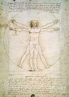 Image result for Human Body Proportions Art