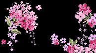 Image result for Kawaii Flower Wallpaper