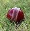 Image result for Cricket 4K Wallpapers for PC