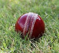 Image result for Cricket Players HD Wallpaper Free Download