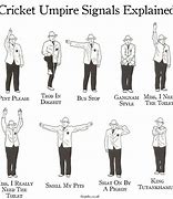 Image result for Cricket Hand Signals for Break