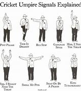 Image result for Cricket Out Sign