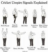 Image result for Cricket Umpire Signs