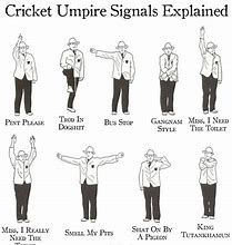 Image result for Cricket Umpire Hand Signals