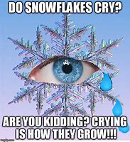 Image result for Crying Snowflake 2016 2017 2018 Meme