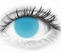 Image result for Electric Blue Contact Lenses