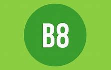 Image result for B8