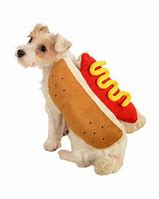 Image result for Dog Hot Dog Costume
