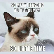 Image result for Kid Grumpy Cat Memes