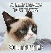 Image result for Seriously Grumpy Cat Memes
