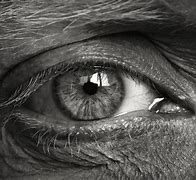 Image result for Funny Black and White Eyes