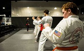 Image result for UFC Upstate Karate Family Martial Arts Center