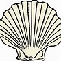 Image result for Solens Coquillage