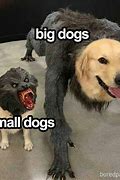 Image result for Short Dog Meme