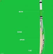 Image result for Cricket Bat Clefts