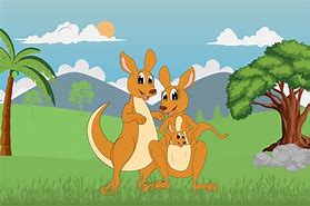 Image result for Kangaroo Family