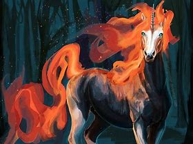 Image result for Unicorn Camp Fire