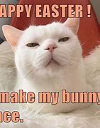 Image result for Funny Animal Memes Easter