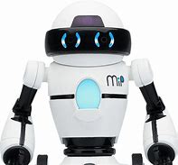 Image result for MIP Robot Race