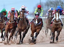 Image result for Sea Horse and Jockey