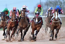 Image result for Race Horse Pics