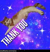 Image result for Thank You Cat Meme