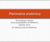 Image result for Definicion De Anatomicas