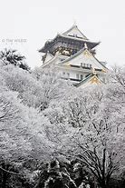 Image result for Osaka Castle Winter Pinterest
