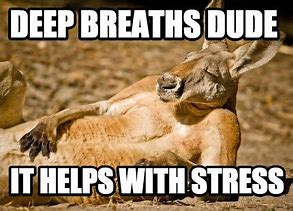 Image result for Just Breathe Funny