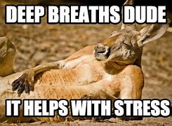 Image result for Stressed Breathing Meme