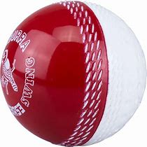 Image result for SwingBall Cricket