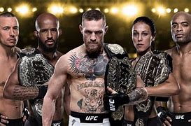 Image result for All UFC Fighters