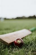 Image result for Cricket Bat