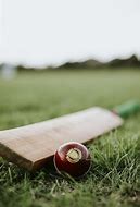 Image result for Cricket Bat Pic